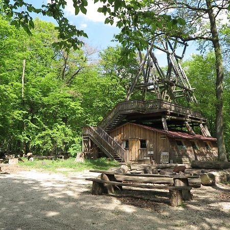 Ochys Waldfreizeitpark Villa Oberkreuzstetten Ngoại thất bức ảnh