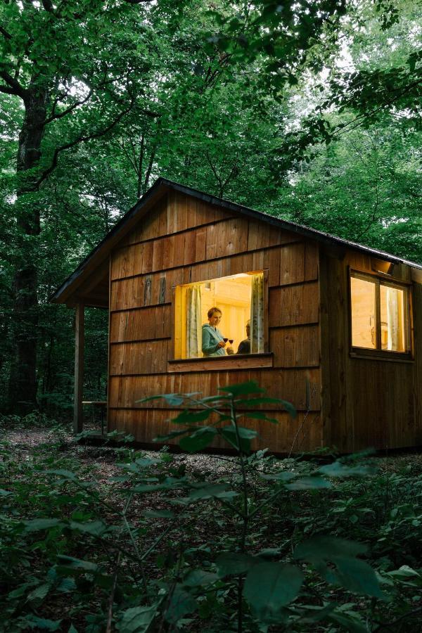 Ochys Waldfreizeitpark Villa Oberkreuzstetten Ngoại thất bức ảnh