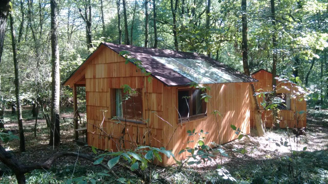 Ochys Waldfreizeitpark Villa Oberkreuzstetten Ngoại thất bức ảnh